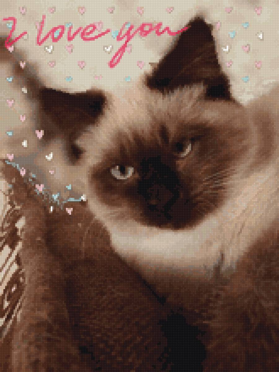 Котик - кот, котик - предпросмотр