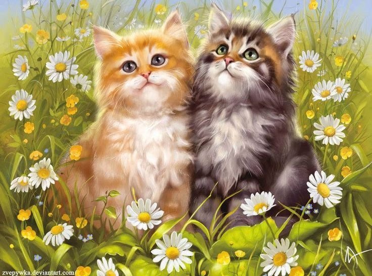 Друзья - котики - оригинал