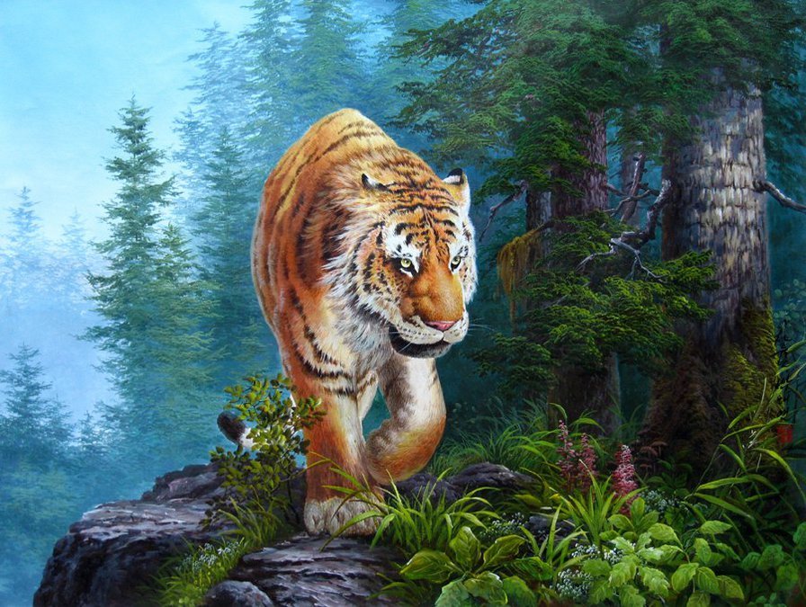 №2555116 - животные, природа, тигры - оригинал