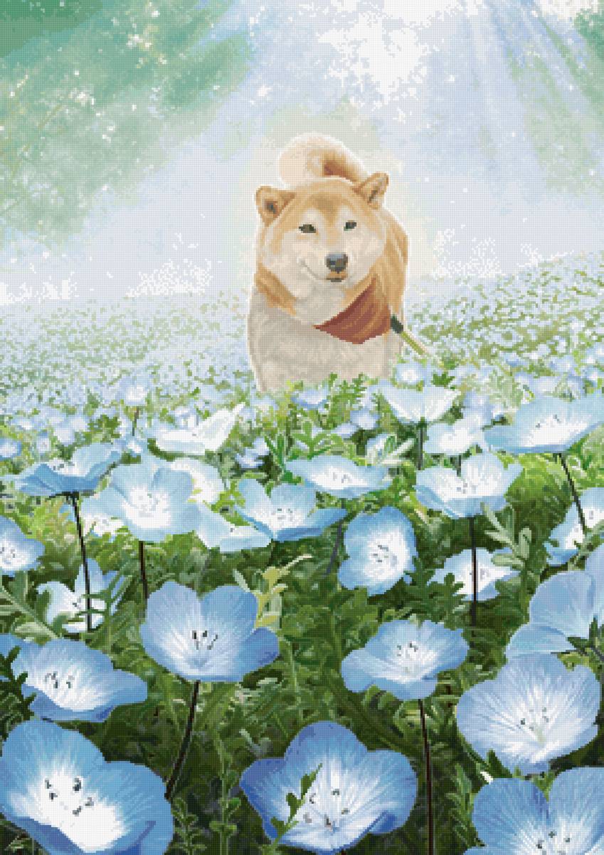 Собака в цветах - барвинок, цветы, солнце, поляна, собака, лучи, лето - предпросмотр