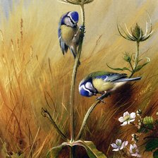 Схема вышивки «Много в мире разных птиц. Арчибальд Торбен»