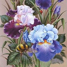 Схема вышивки «№2555589»