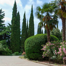 Схема вышивки «№2555850»