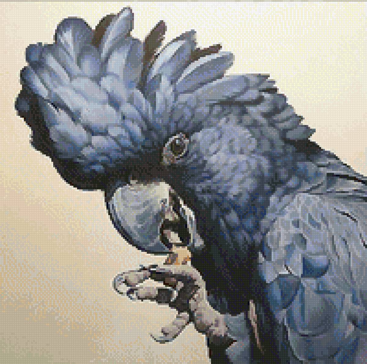 №2555885 - попугай, птицы - предпросмотр