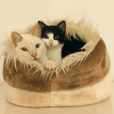 Схема вышивки «№2556809»