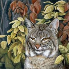 Схема вышивки «№2556884»