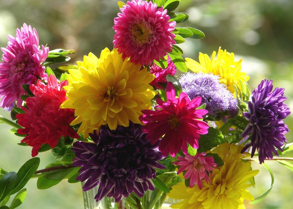 Астра2 - оригинал