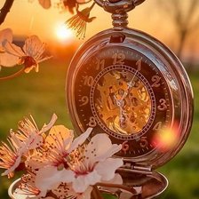 Схема вышивки «№2557363»