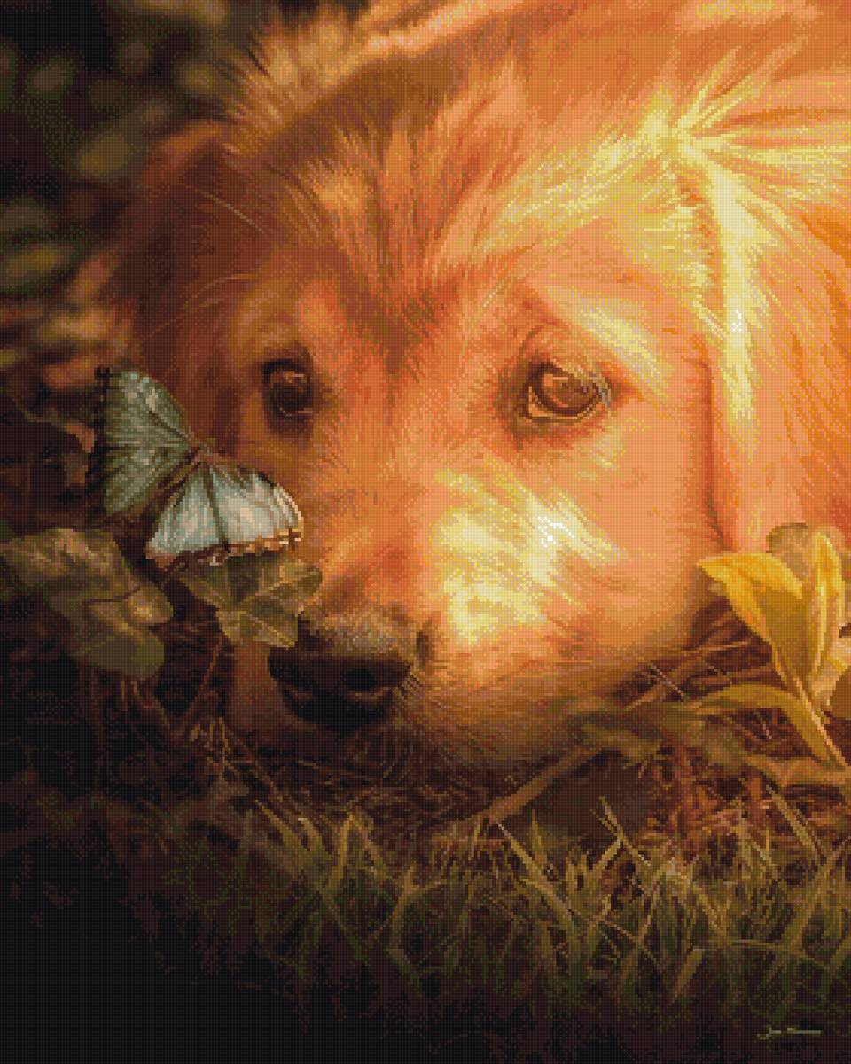 друзья, пнк - предпросмотр