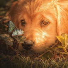 друзья, пнк