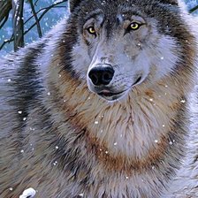 Схема вышивки «Волк»