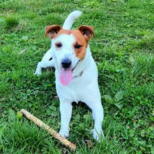 Схема вышивки «Дора»