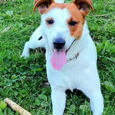 Схема вышивки «Дора»