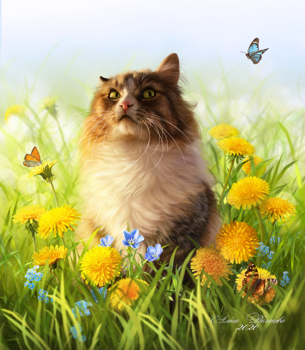 Котик в траве - поляна, рыжий кот, кот, трава, полевые цветы, цветы, зелень - оригинал