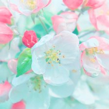 Схема вышивки «№2558164»