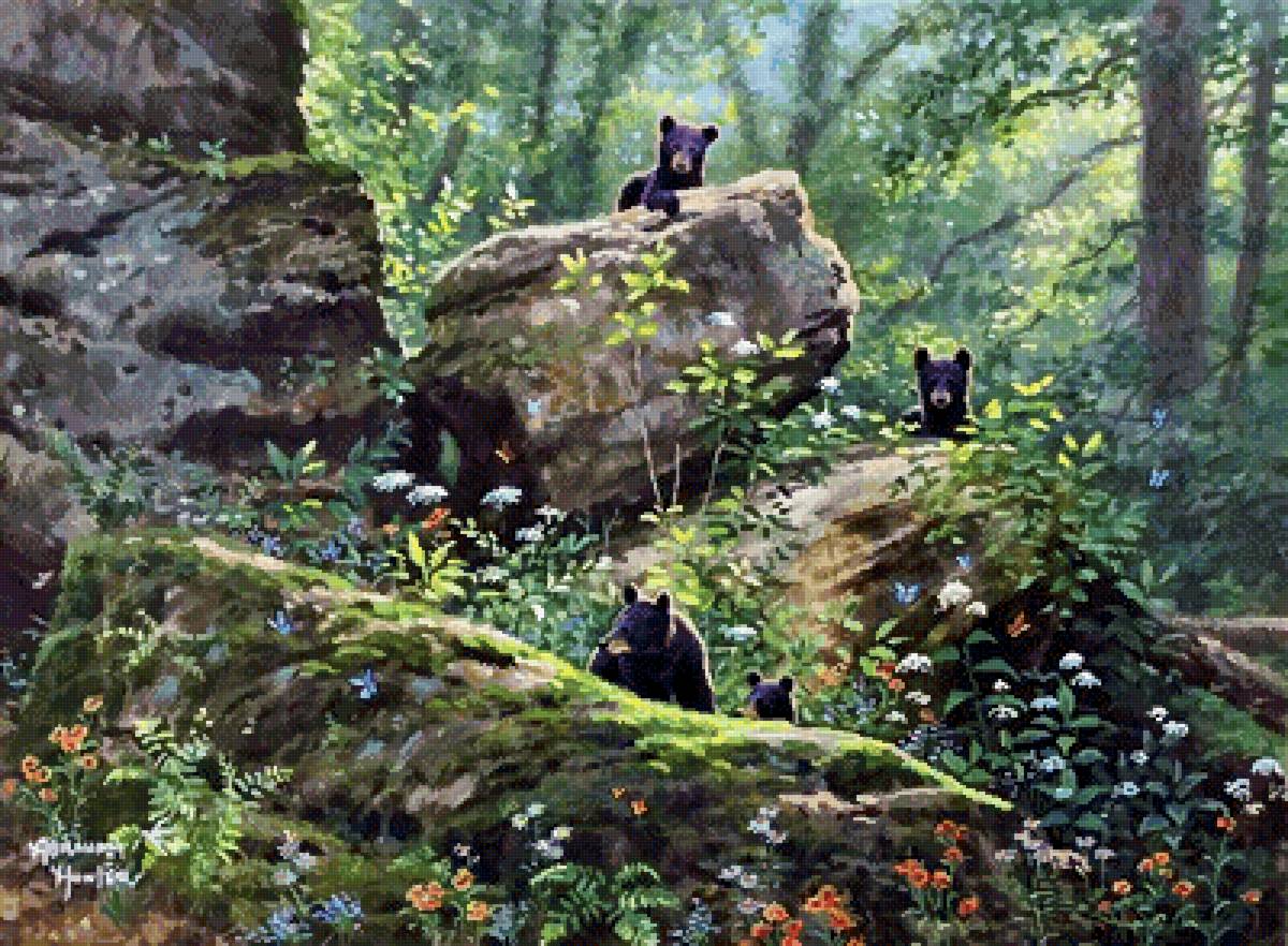 Абрахам Хантер - абрахам хантер, мишки, звери, природа - предпросмотр