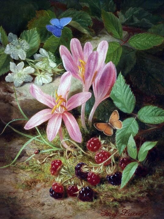 №2559309 - ягоды, цветы, бабочки - оригинал