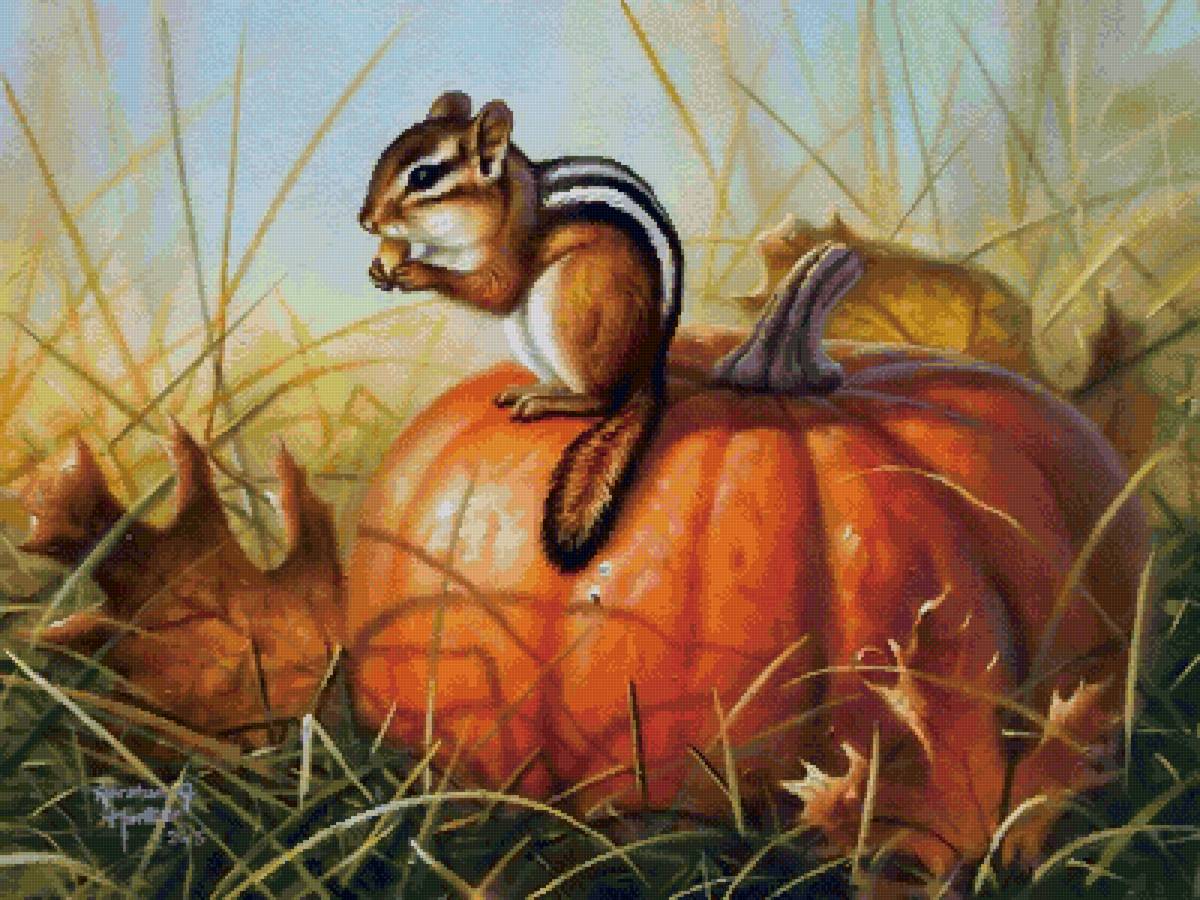 №2559536 - животные, грызуны, природа - предпросмотр