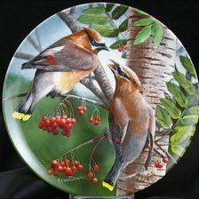 Схема вышивки «№2559593»