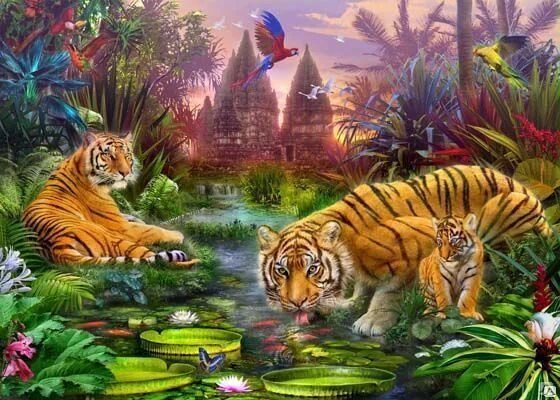 №2559603 - тигры, природа, животные - оригинал
