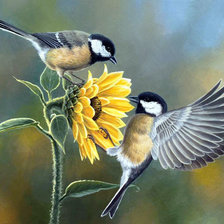 Схема вышивки «№2559662»