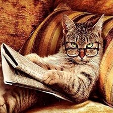 Схема вышивки «№2559758»