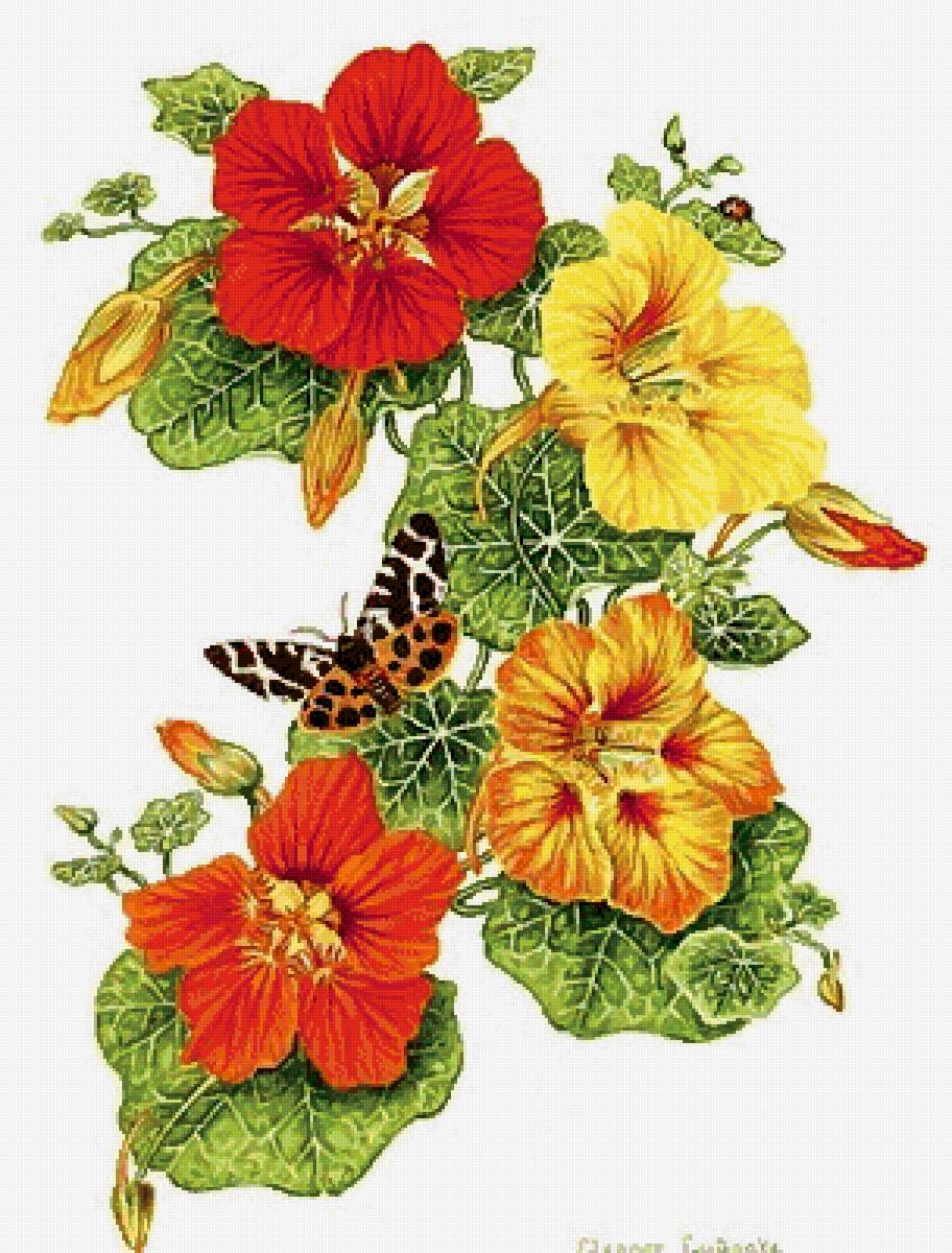 №2559768 - цветы, бабочки - предпросмотр