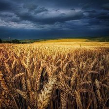 Схема вышивки «Україна»