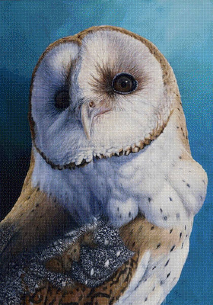 ночная птица - сова, птицы - предпросмотр