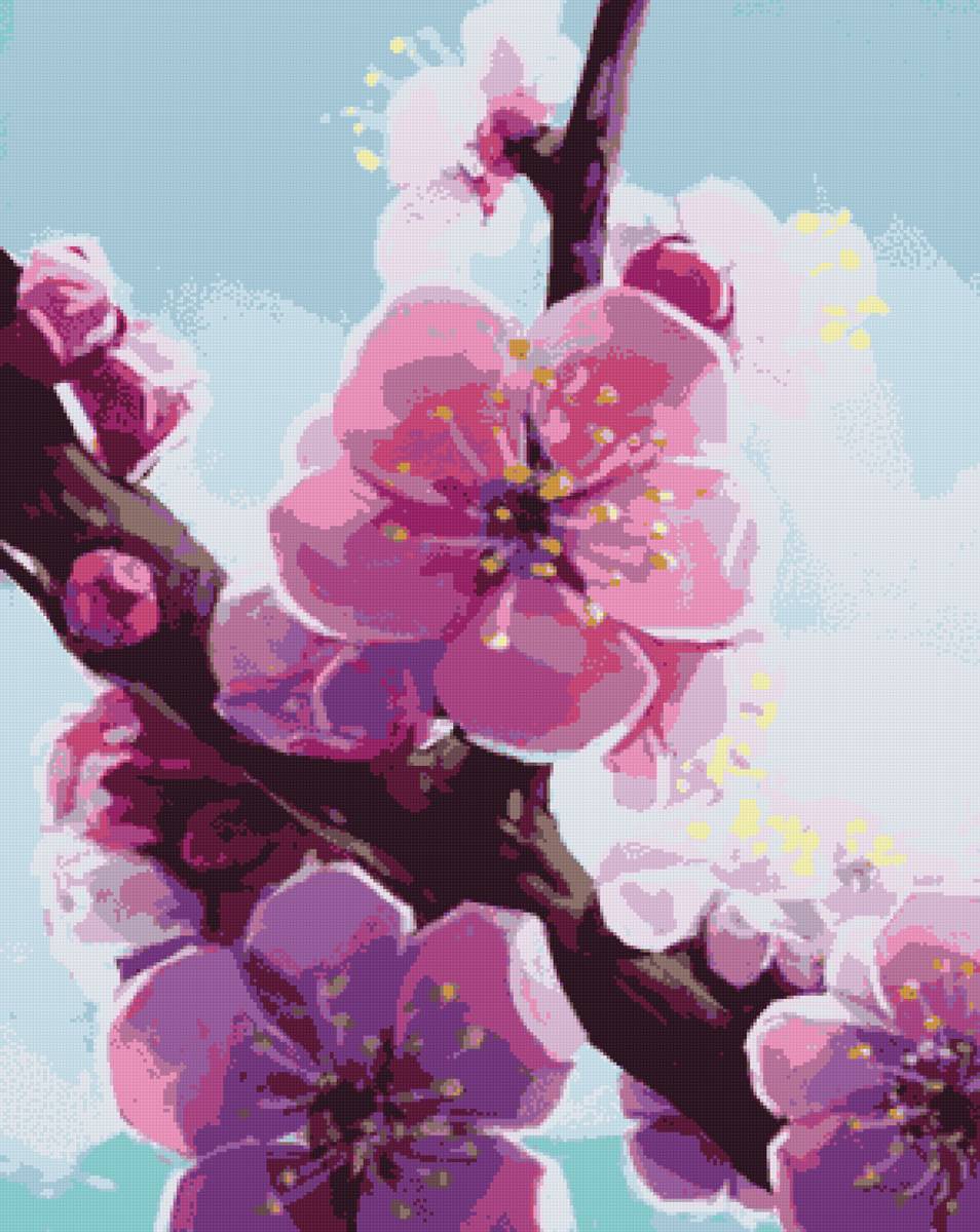 Сакура - сакура - предпросмотр