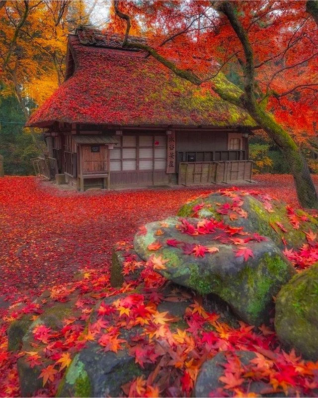 Япония - япония - оригинал