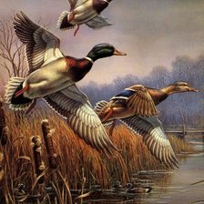 Схема вышивки «№2560303»