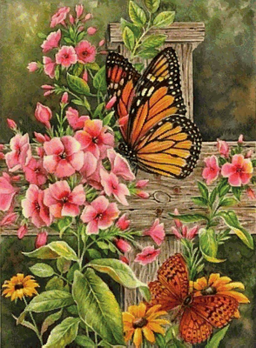 №2560502 - бабочки, цветы - предпросмотр