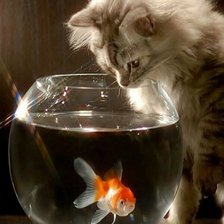 Схема вышивки «Наблюдает»