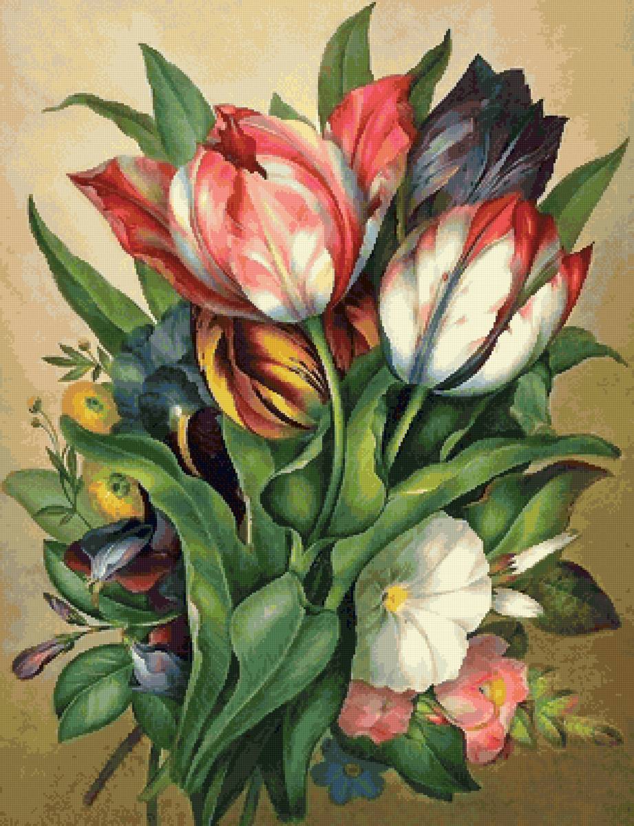 №2560560 - букет, цветы - предпросмотр