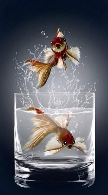 Рыбки - оригинал