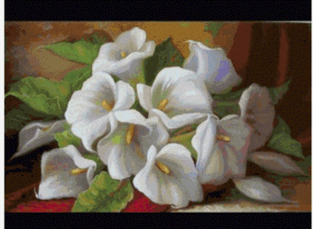 №2560728 - предпросмотр