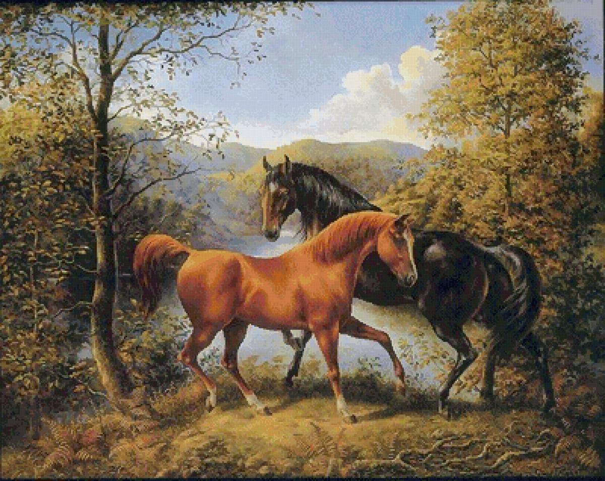 №2561236 - кони, пара, животные, природа - предпросмотр