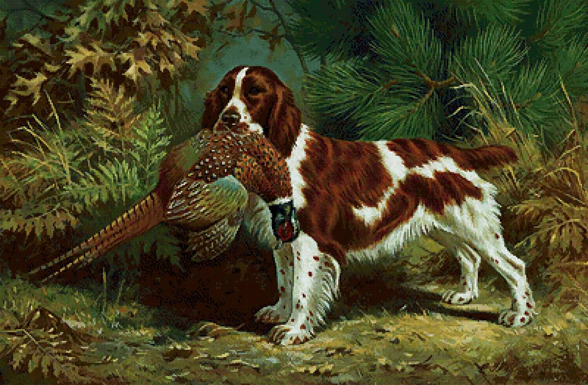 №2561637 - охота, животные, собака, природа - предпросмотр