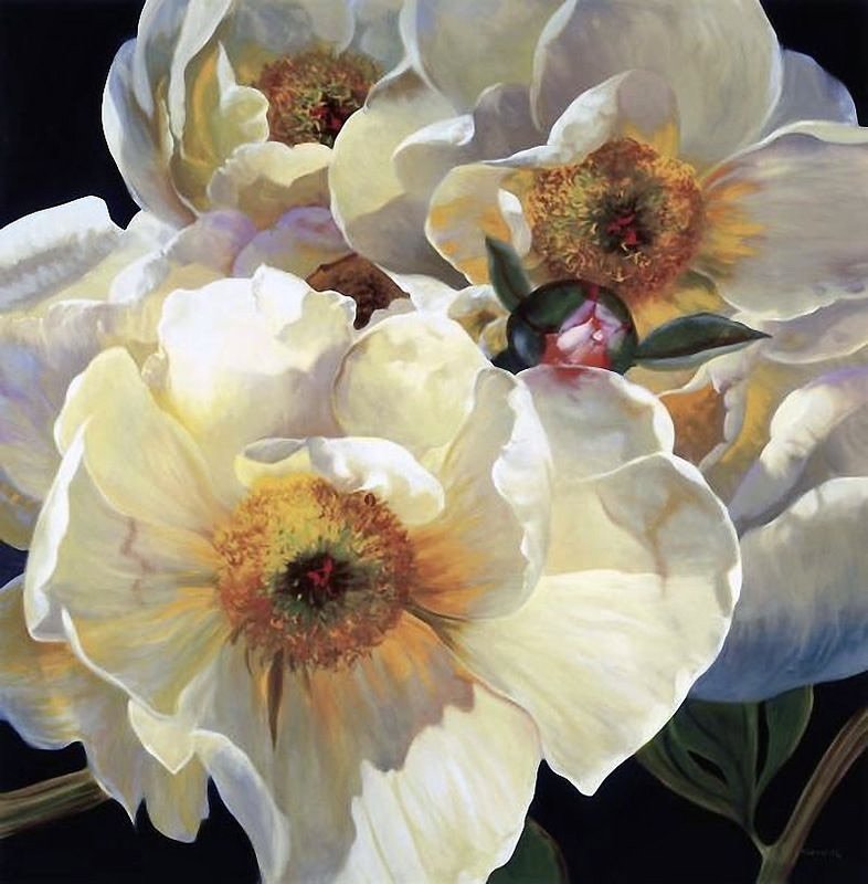 белый пион - цветы, растения - оригинал