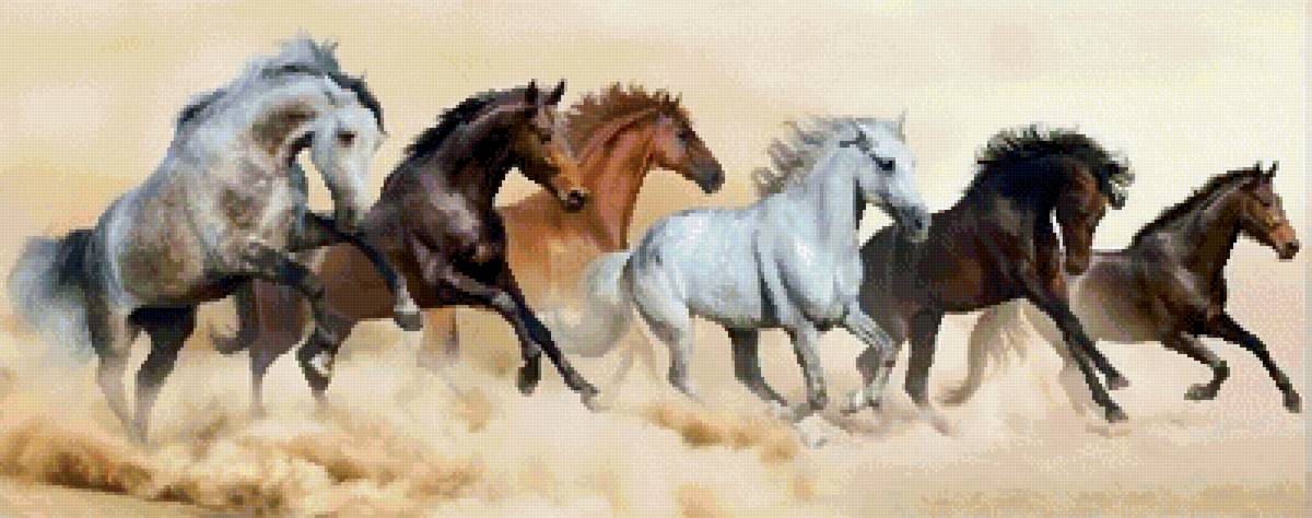 №2561748 - животные, табун, кони - предпросмотр