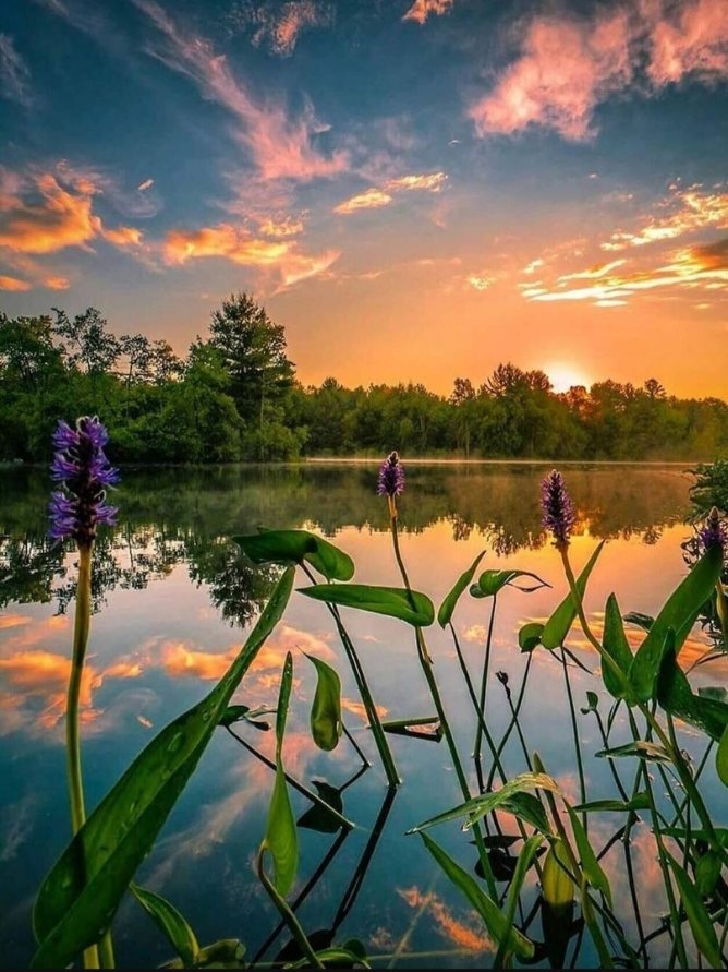 Добрый вечер - вечер - оригинал