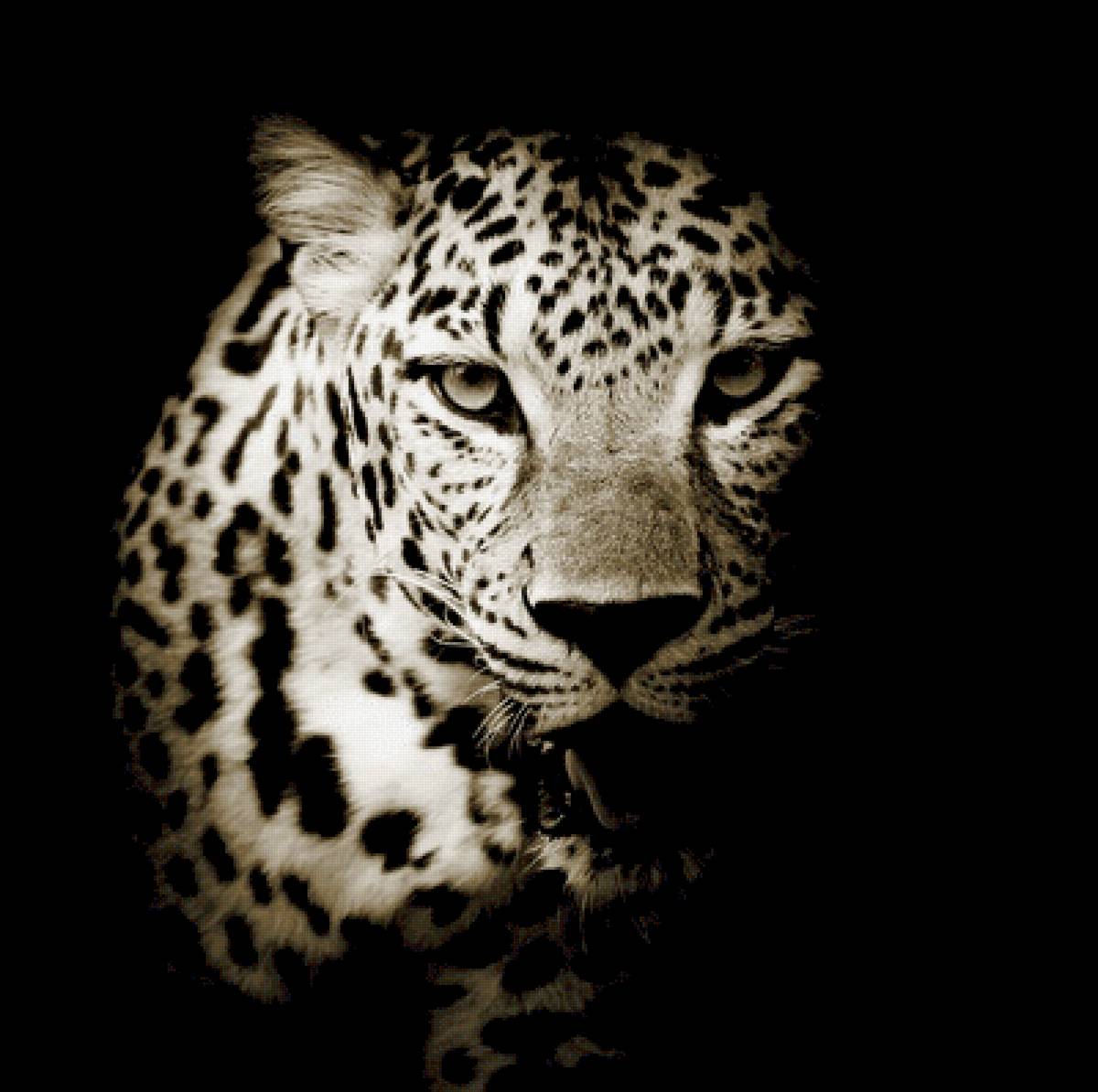 МОНОХРОМ ЛЕОПАРД - леопард, кошки, вышивка крестиком - предпросмотр