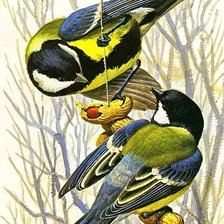 Схема вышивки «№2563044»