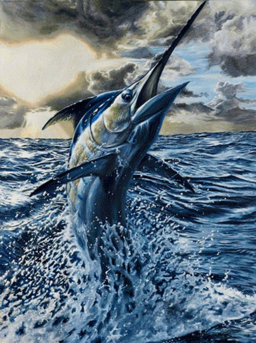 Марлин парусник - рыба, море - предпросмотр