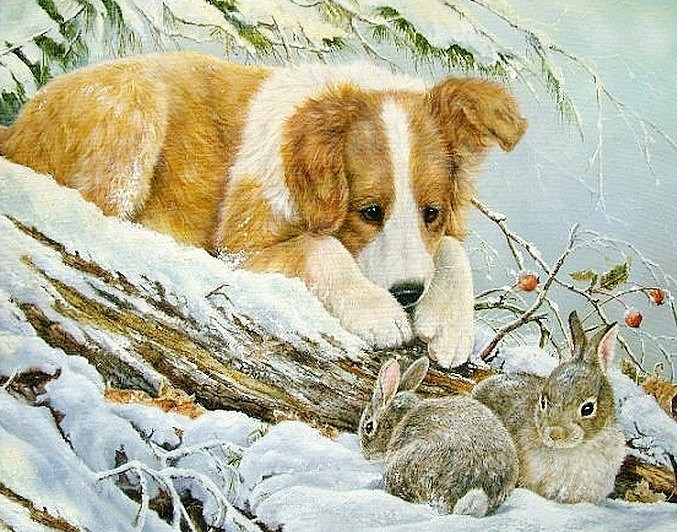 №2563251 - зайцы, животные, собака - оригинал