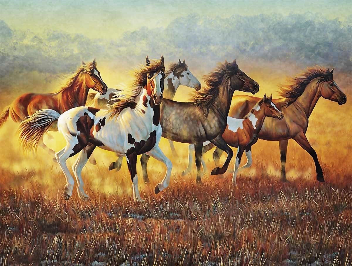 №2563470 - животные, природа, табун, кони - оригинал