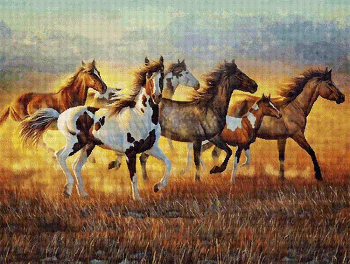 №2563470 - природа, табун, кони, животные - предпросмотр