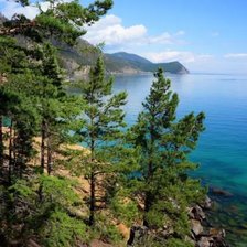 Схема вышивки «№2563552»