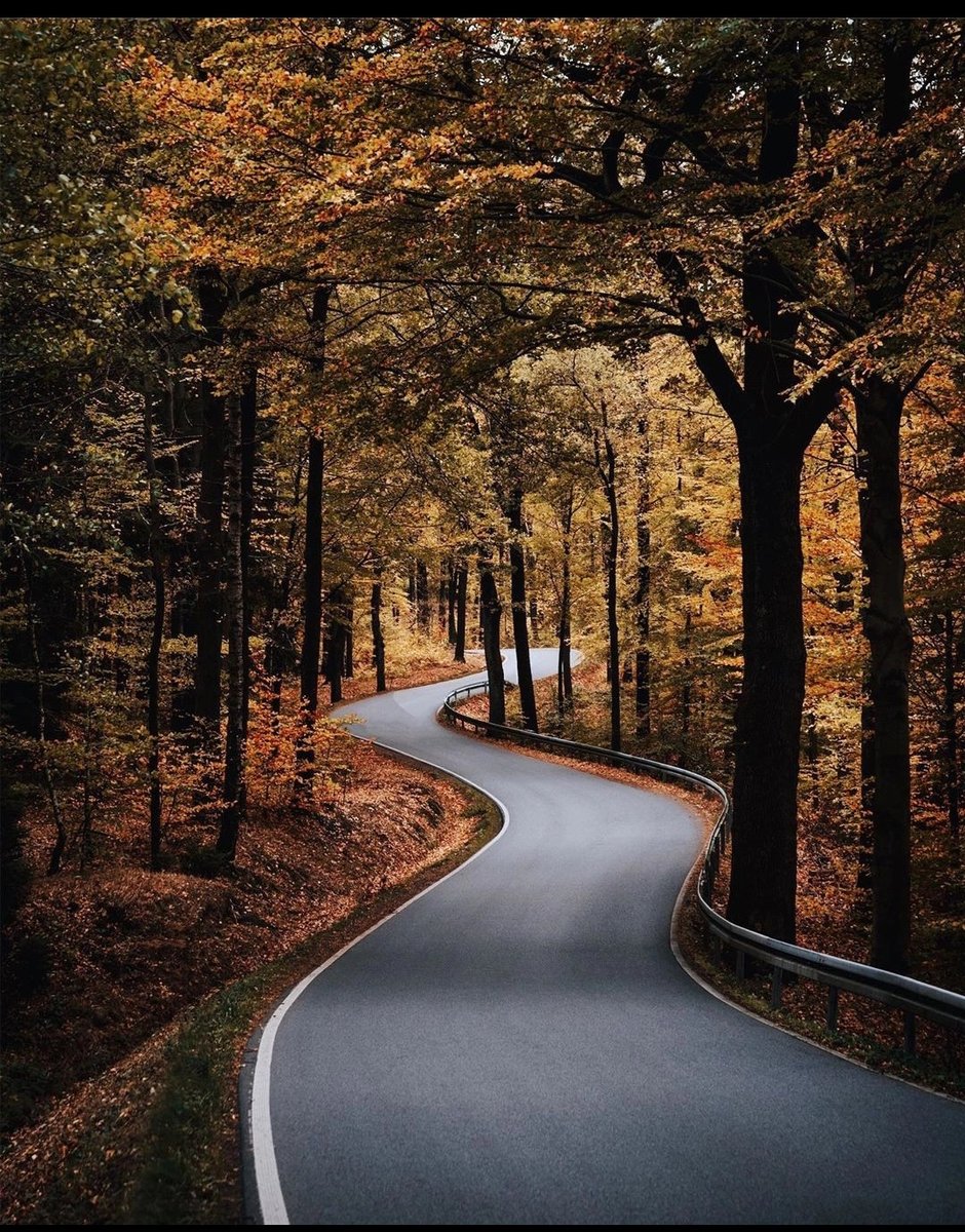 Осень - дорога, лес, осень - оригинал